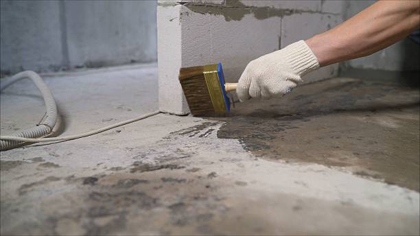 Crawl space vapor barrier installation in Spring Arbor, MI